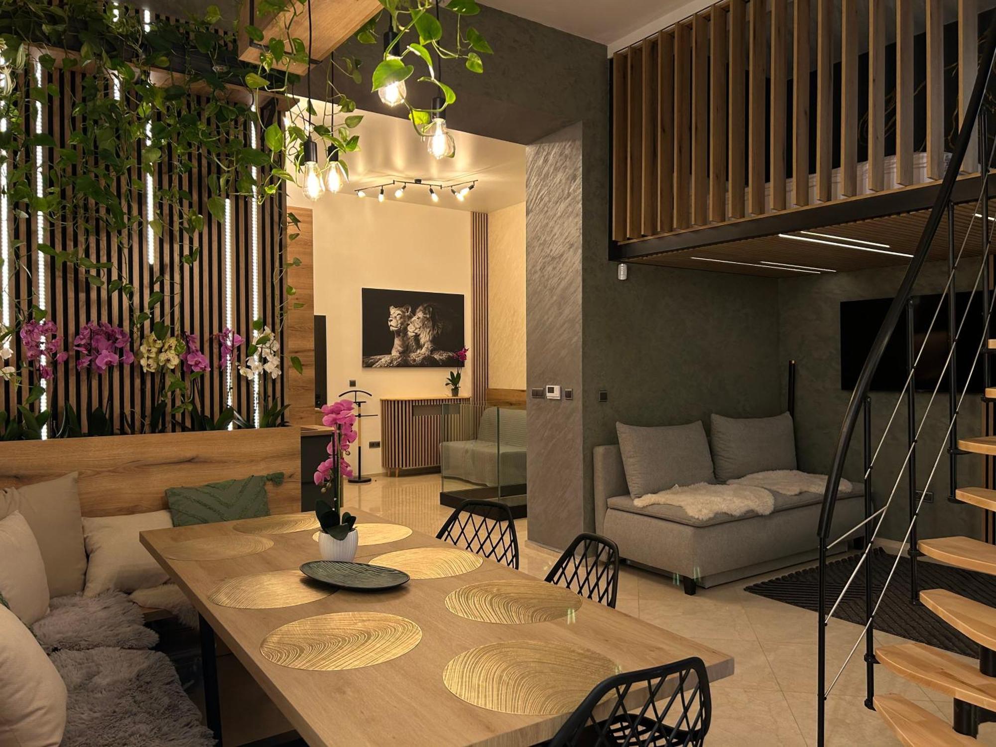 Leo Apartment Suite & Private Spa Zone - Old City ブラチスラヴァ エクステリア 写真